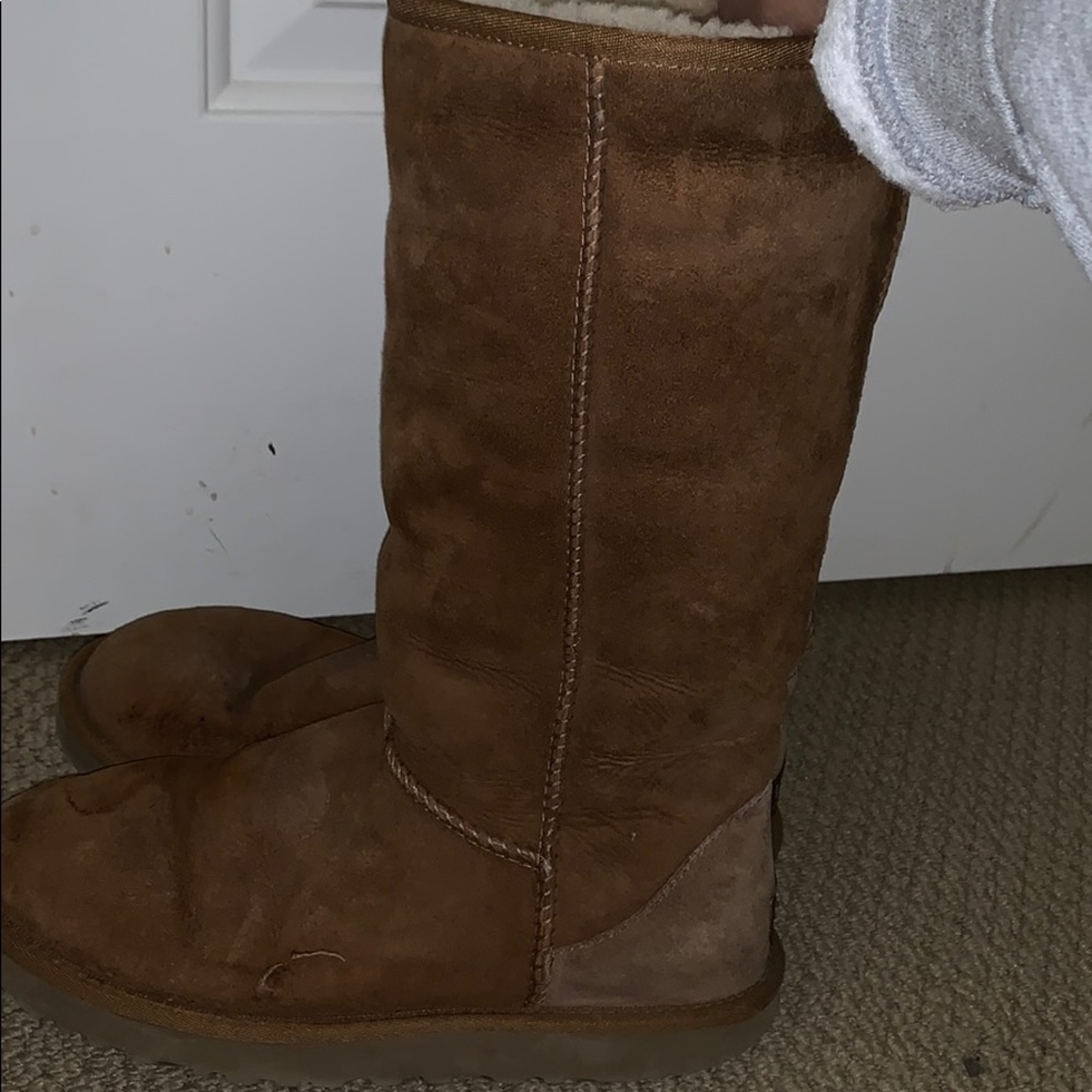 Tall Chestnut Uggs